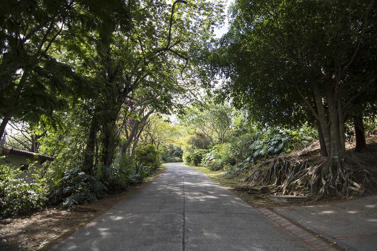 Terreno en Venta Condominio en Piedades de Santa Ana  - foto 1