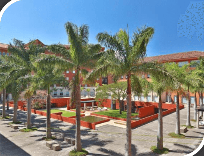 Oficina en Alquiler de 251 m² en Oficentro en Escazú - foto 1