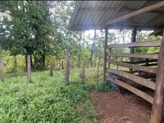 En venta finca ganadera Ciudad Quesada, San Carlos - foto 1
