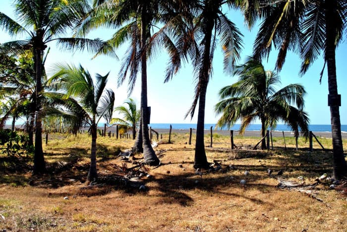 Terreno Frente al Mar en Playa Bajamar, Puntarenas.  - foto 1