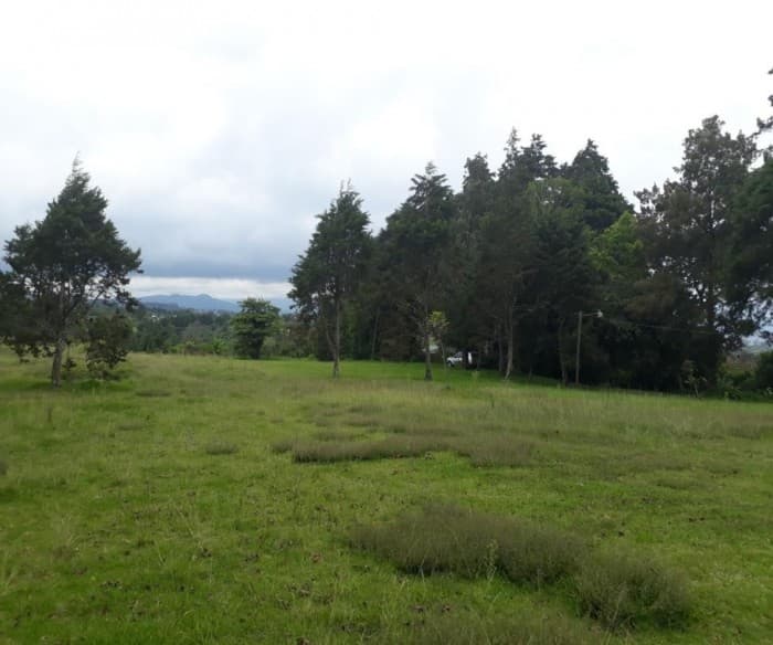 En venta terreno residencial en Platanares de Moravia - foto 1