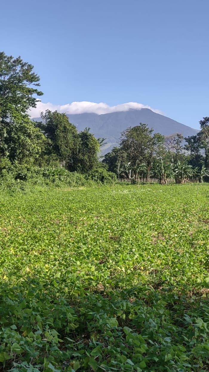 Lotes en venta en Proyecto en Llanos del Miravalles - foto 1