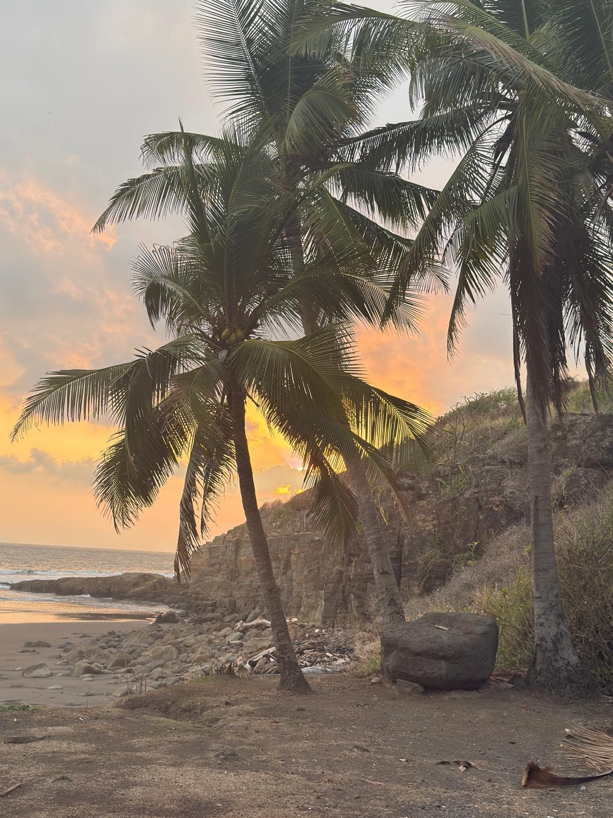 En Venta Lote en Condominio en Playa Tivives Esparza  - foto 1