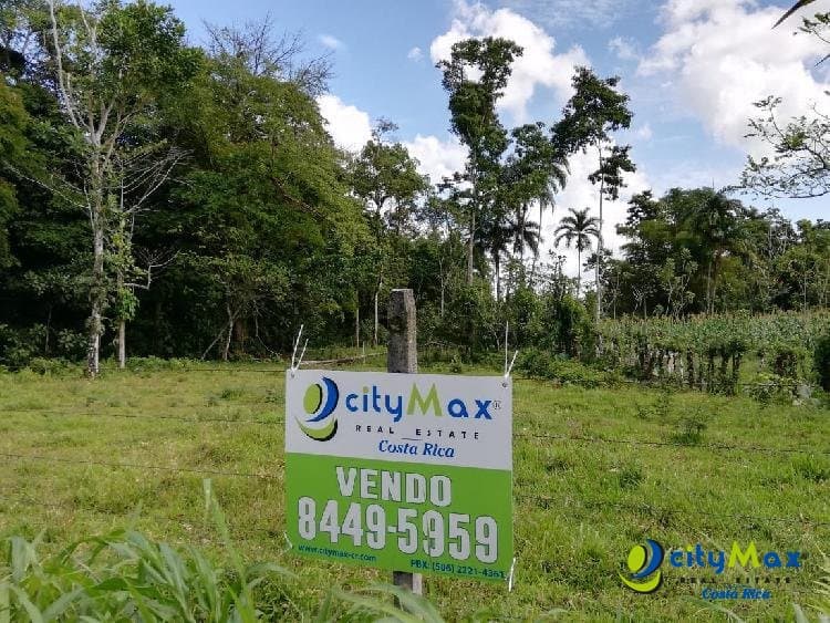 Amplio Terreno en Jiménez, Guácimo Ideal Inversión - foto 1