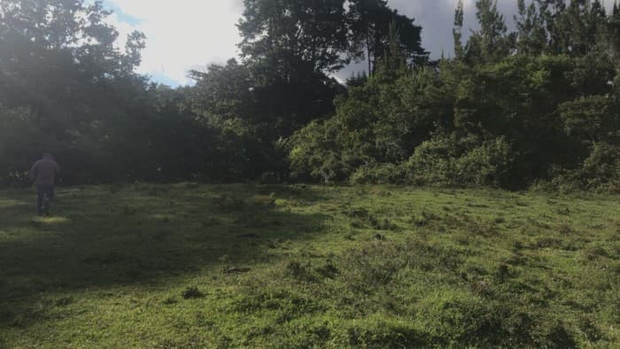 Lote Residencial en Venta en San Isidro de Heredia - foto 1