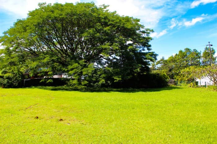 Terreno Exclusivo en Venta en La Guácima, Alajuela. - foto 1