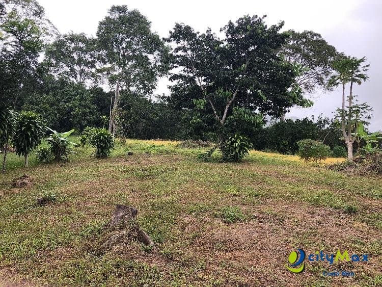 Se vende ampio, plano y hermoso terreno en Atenas  - foto 1