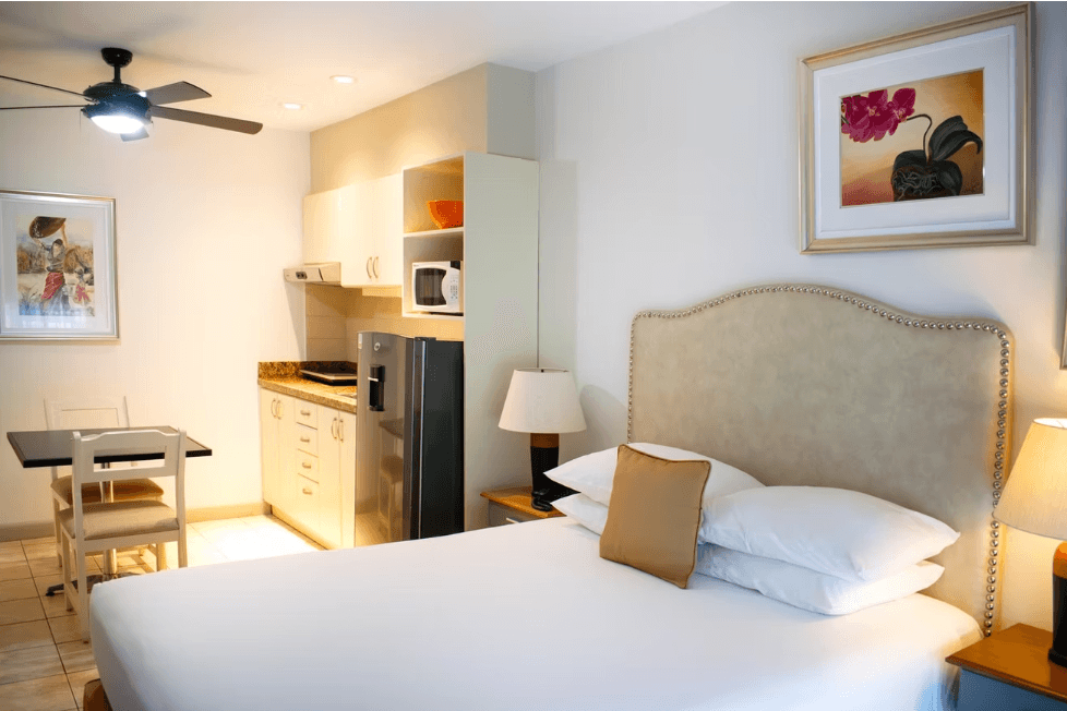 Apartamento Estudio en renta en La Sabana Norte, SJ. - foto 1