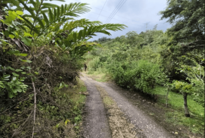 Finca en venta de 2,87 Hectareas en Tucurrique, Cartago - foto 1