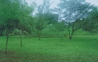 Se vende finca en Sarapiqui  - foto 1