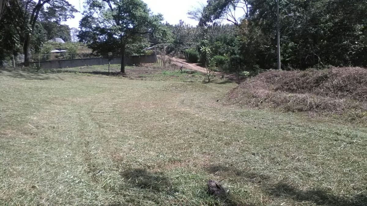 OFERTA Venta Terreno para construir Santa Rita Orotina  - foto 1