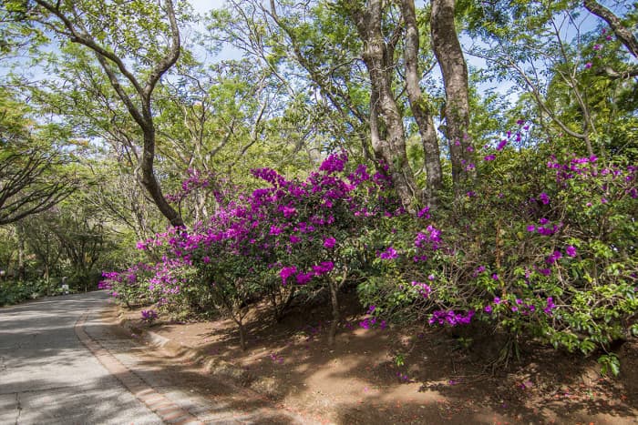 Terreno en Venta Condominio en Piedades de Santa Ana  - foto 2