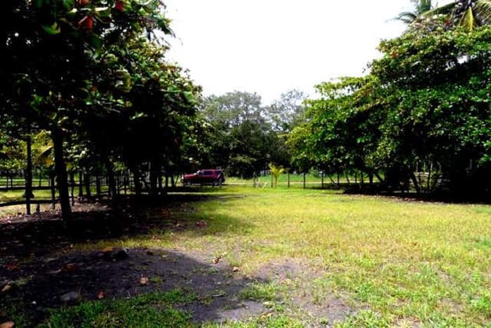 Terreno Frente al Mar en Playa Bajamar, Puntarenas.  - foto 4