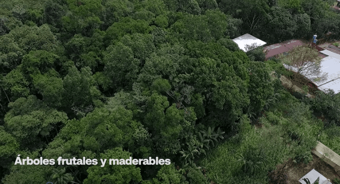 Terreno con Hotel en Perez Zeledón cerca Quebrada Honda - foto 3
