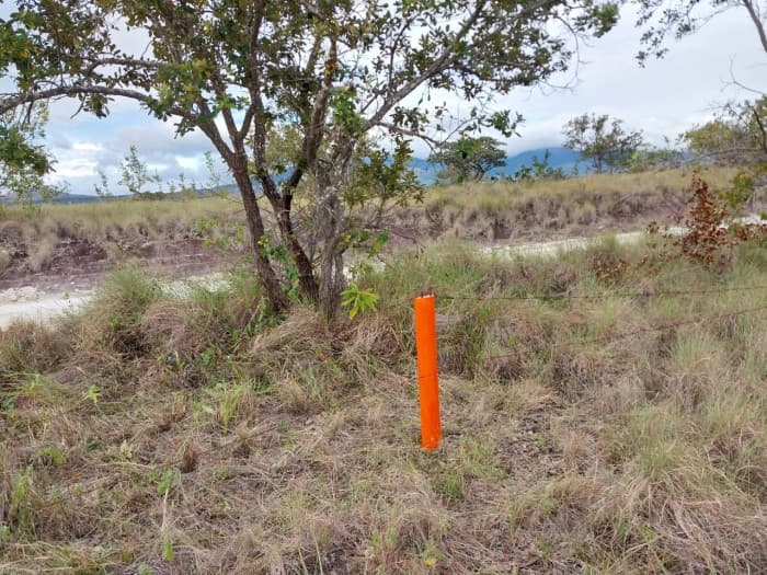 Lotes en venta, Liberia, Curubandé. - foto 3