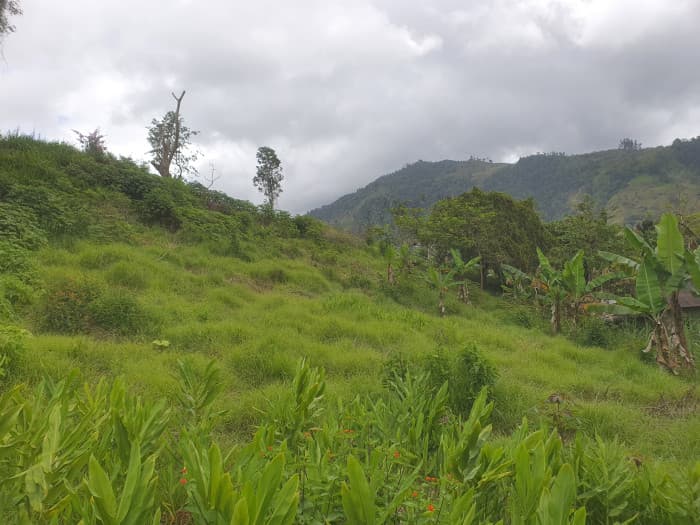 En venta terreno en Santa Rosa de Tayutic en Turrialba - foto 3