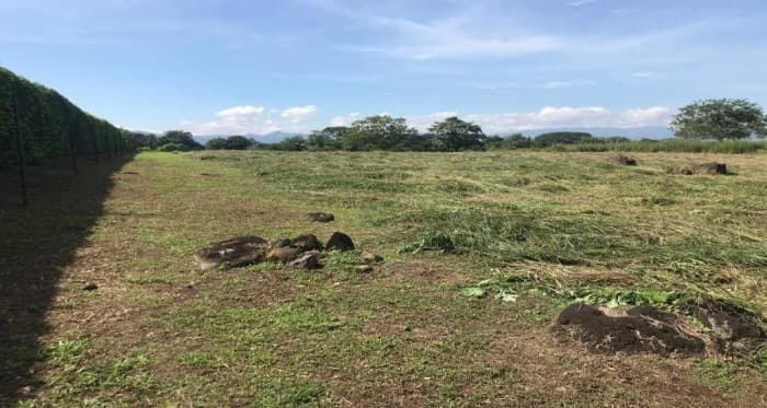 En Venta terreno en EL Coyol de Alajuela de 7.089 m2. - foto 4