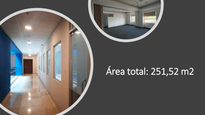 Oficina en Alquiler de 251 m² en Oficentro en Escazú - foto 3