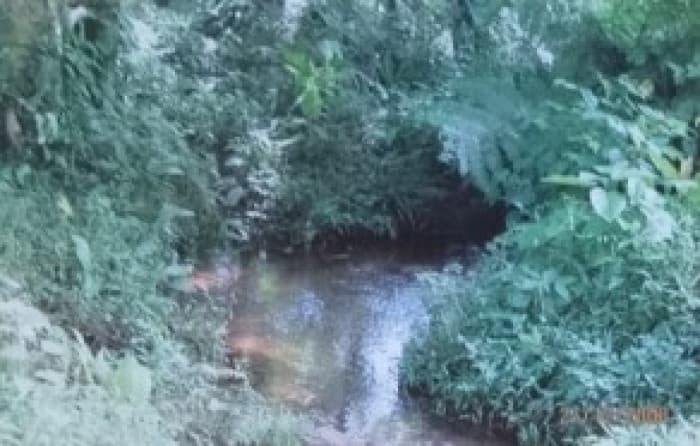 Se vende finca en Sarapiqui  - foto 4