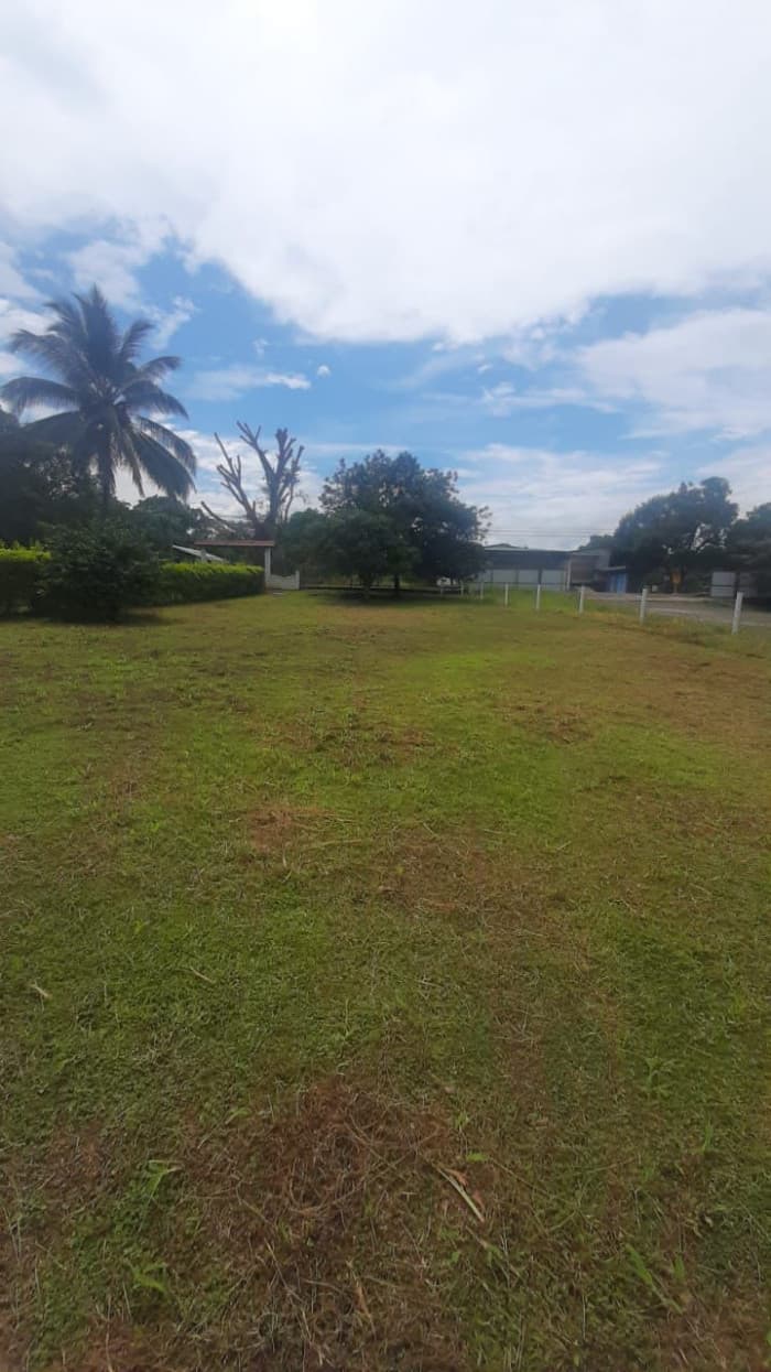 Se vende hemoso y amplio terreno. Orotina - foto 4