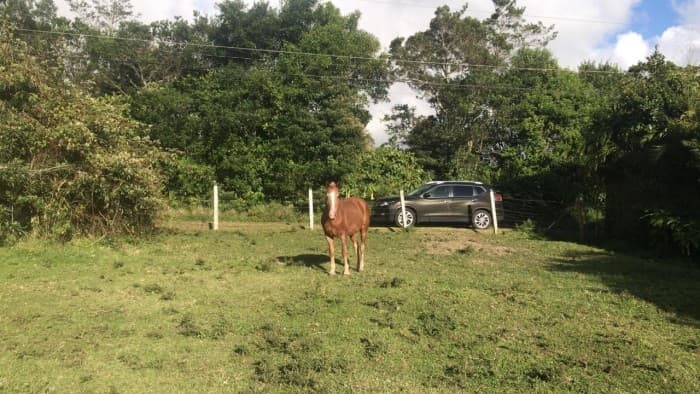Lote Residencial en Venta en San Isidro de Heredia - foto 4