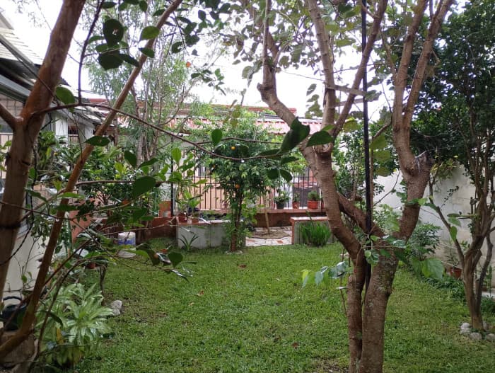 Se vende casa. San Josecito, San Rafael. Heredia - foto 3