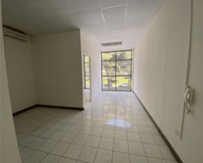 Local Comercial en Renta en La Sabana San José  - foto 2
