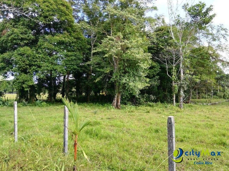Amplio Terreno en Jiménez, Guácimo Ideal Inversión - foto 3