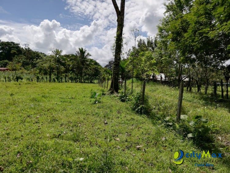 Amplio Terreno en Jiménez, Guácimo Ideal Inversión - foto 2
