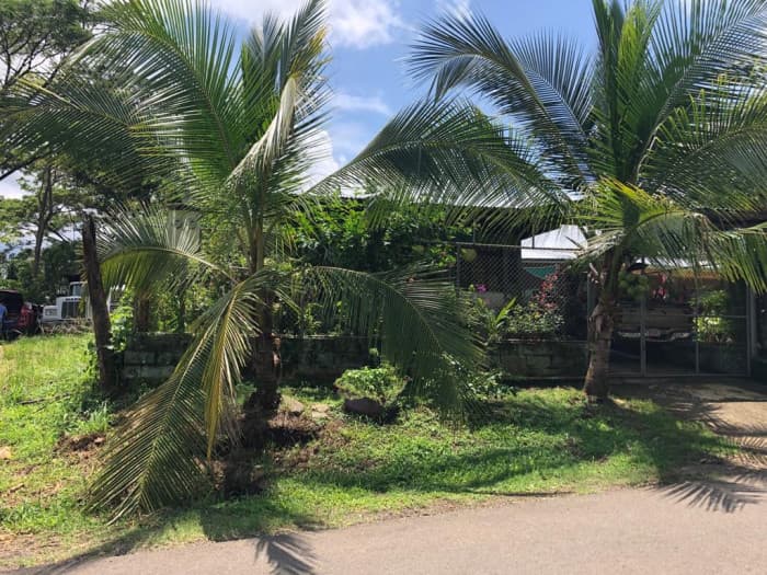 Terreno en Venta en Orotina-Uso Residencial y Comercial - foto 2