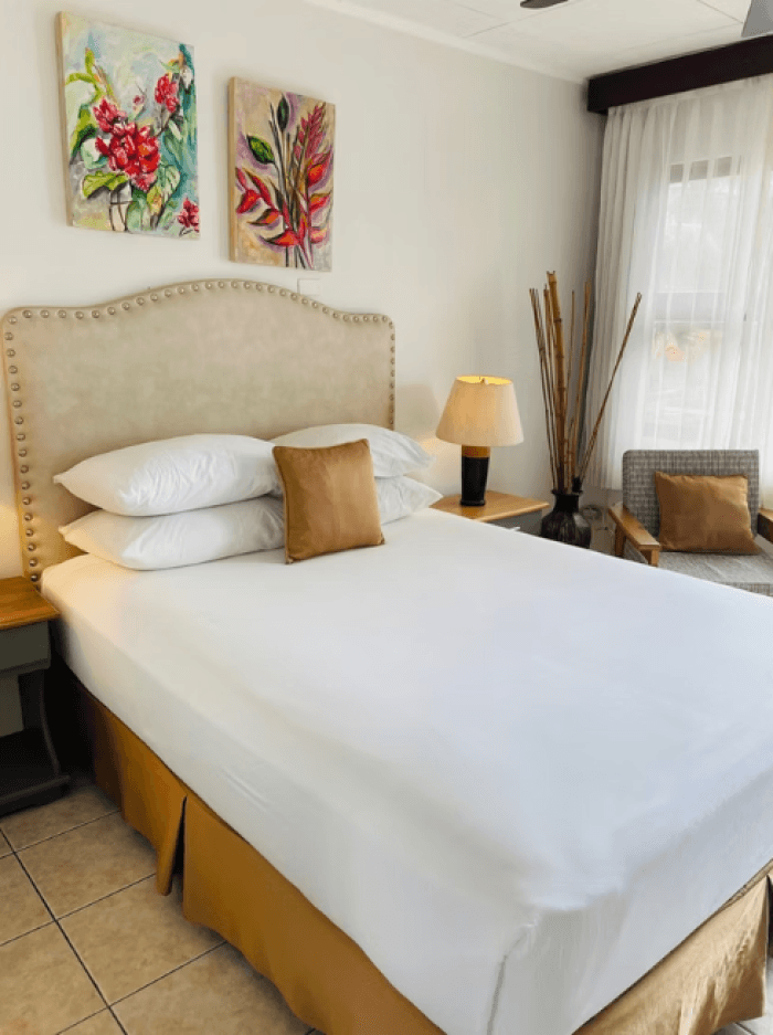 Apartamento Estudio al alquiler en La Sabana Norte, SJ. - foto 3