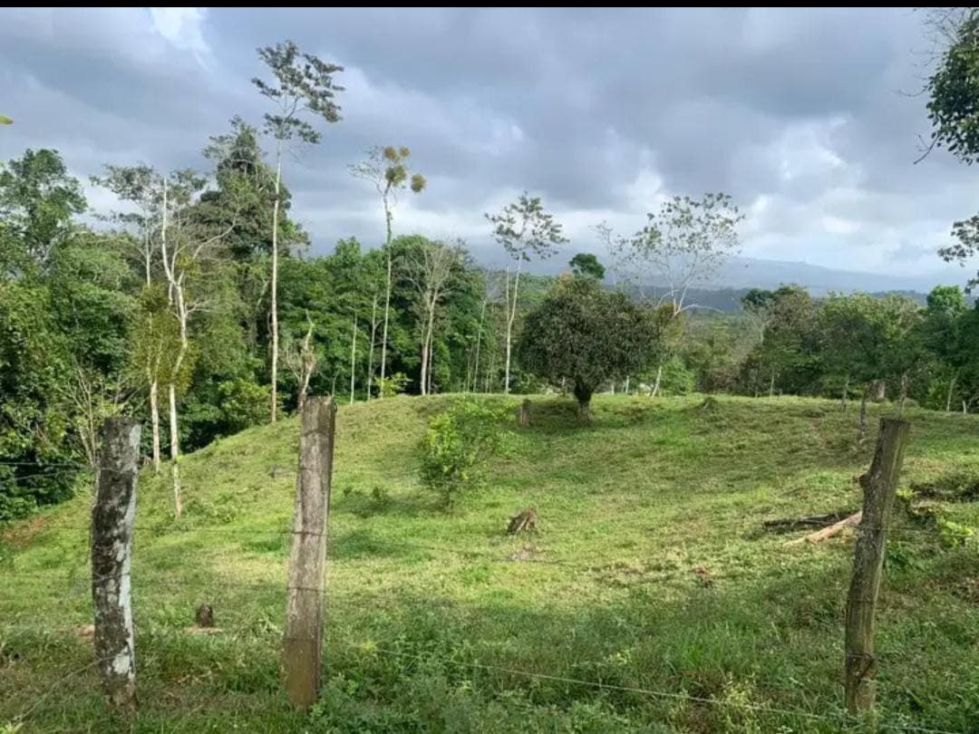En venta finca ganadera Ciudad Quesada, San Carlos - foto 2