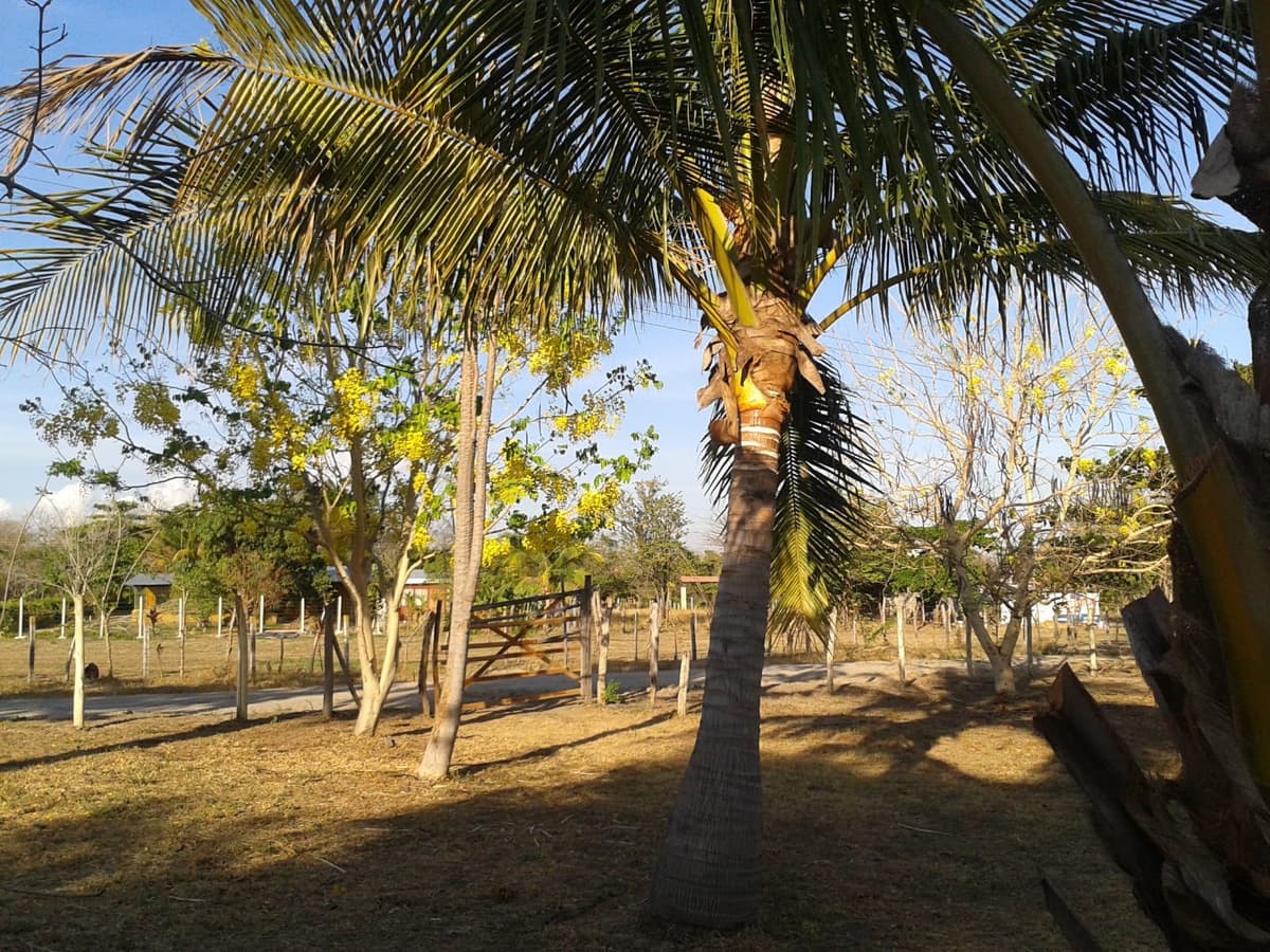 Quinta en Venta en Condominio En Bagaces de Guanacaste - foto 2