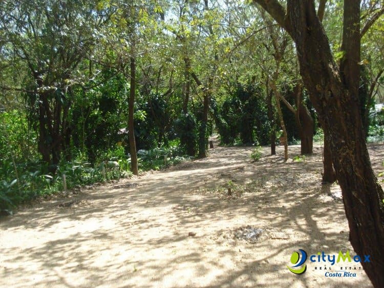 Venta de Amplia Finca  en Sardinal Guanacaste  - foto 2