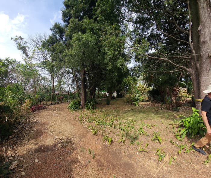 Terreno con Casa en Venta en Santa Rosa, Santo Domingo  - foto 4