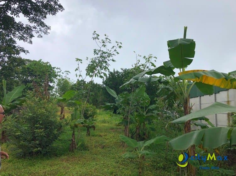Se vende ampio, plano y hermoso terreno en Atenas  - foto 2