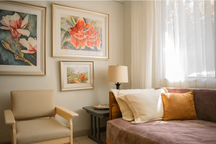 RENTA HERMOSO APARTAMENTO EN SABANA NORTE SAN JOSÉ - foto 4