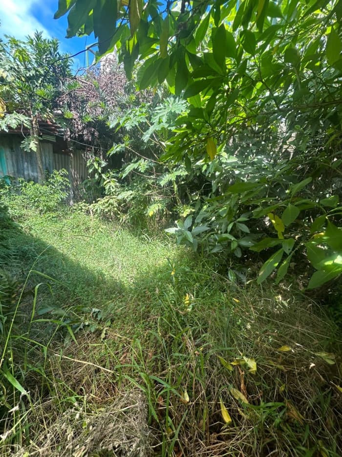 Casa en Venta con Uso suelo Mixto, en Heredía Centro! - foto 2