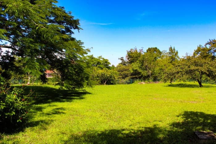 Terreno Exclusivo en Venta en La Guácima, Alajuela. - foto 2