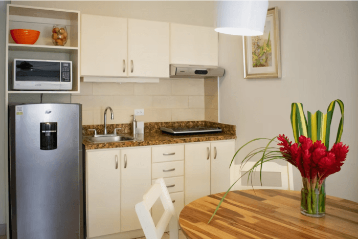 RENTA HERMOSO APARTAMENTO EN SABANA NORTE SAN JOSÉ - foto 3