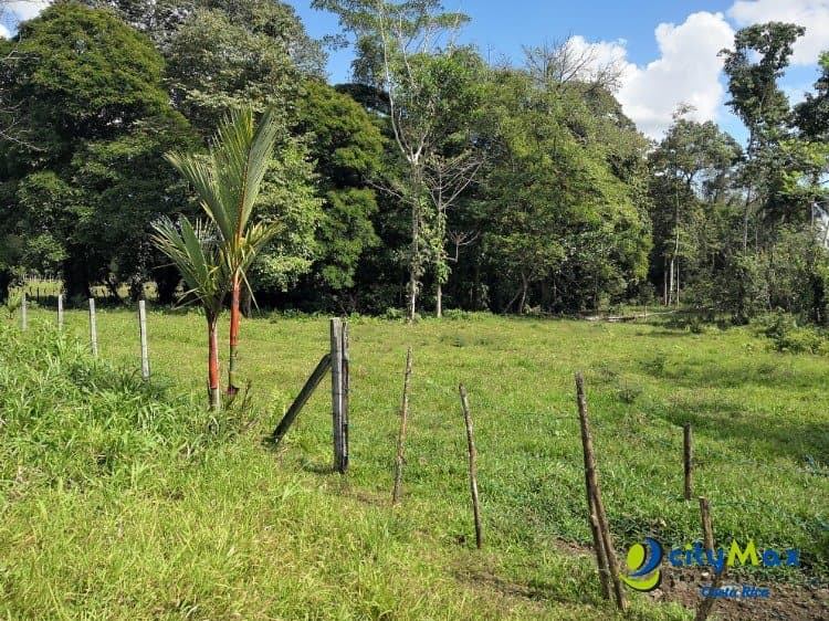 Amplio Terreno en Jiménez, Guácimo Ideal Inversión - foto 4