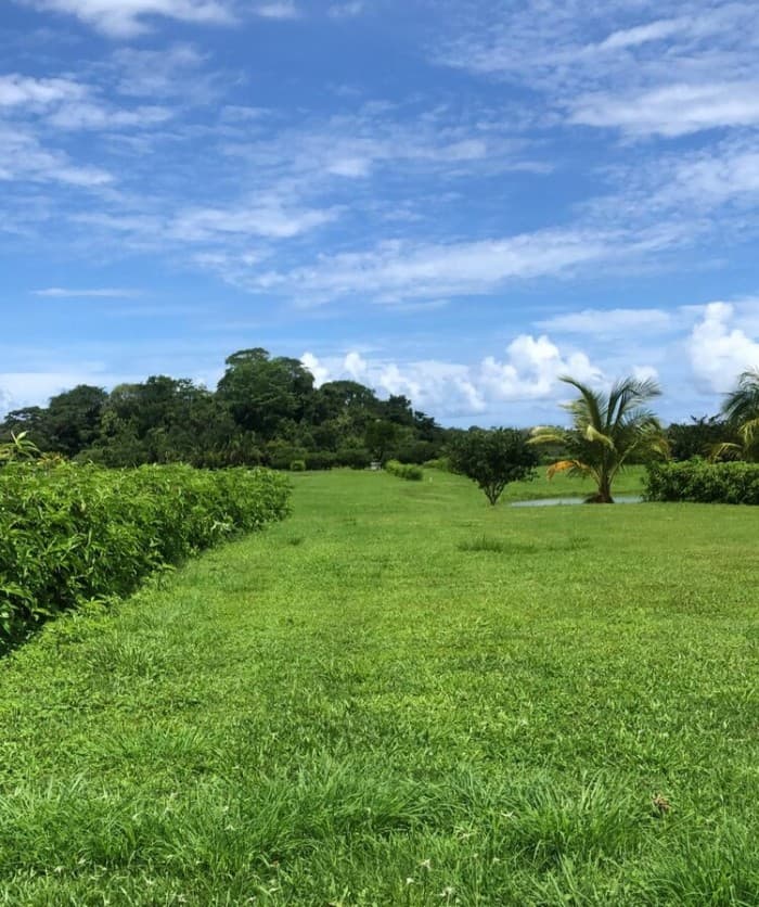 Terreno en Venta en condominio Playa Hermosa Puntarenas - foto 4