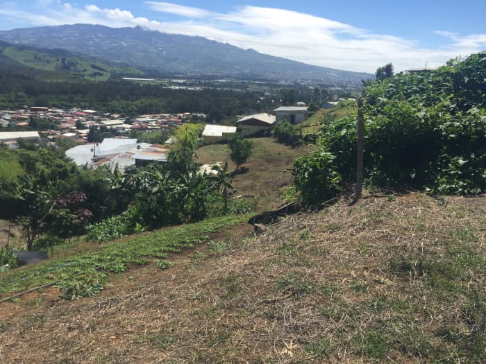 Terreno de 4,000 m² en Tobosi, Cartago Ideal Inversión  - foto 3