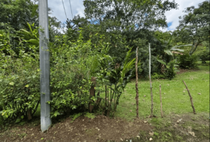 Finca en venta de 2,87 Hectareas en Tucurrique, Cartago - foto 2