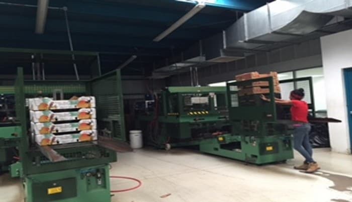 Amplia Finca Agrícola en Venta en Puntarenas - foto 4