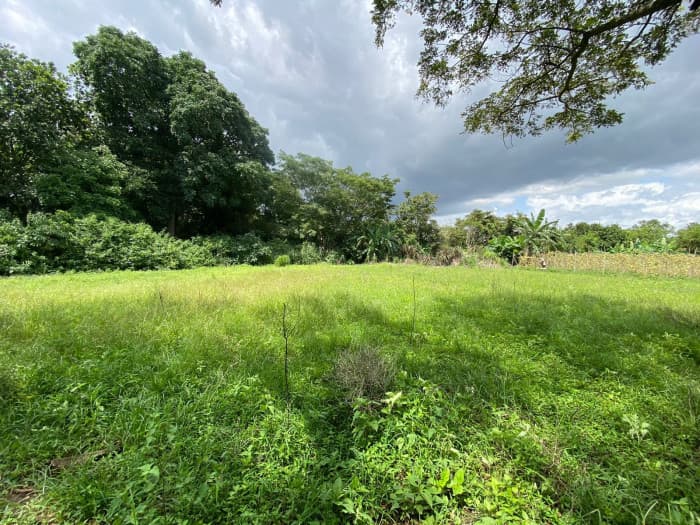 Venta de Lote en La Guácima Arriba Alajuela Costa Rica - foto 3
