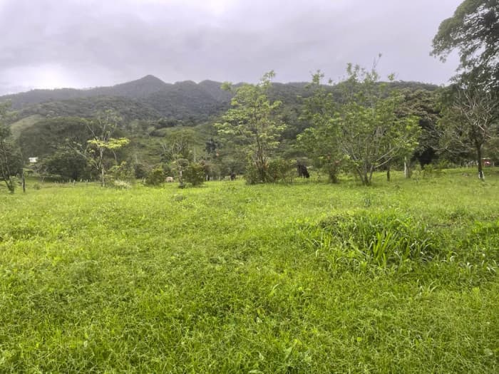 En Venta terreno en Rio Naranjo de Bijagua Guanacaste - foto 4