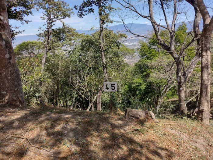 Lote en Venta en Piedades de Santa Ana San José - foto 4