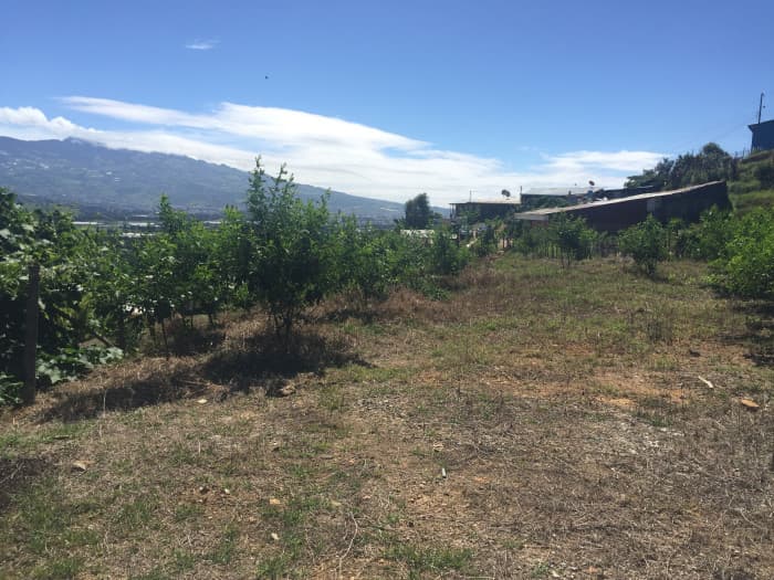 Terreno de 4,000 m² en Tobosi, Cartago Ideal Inversión  - foto 4