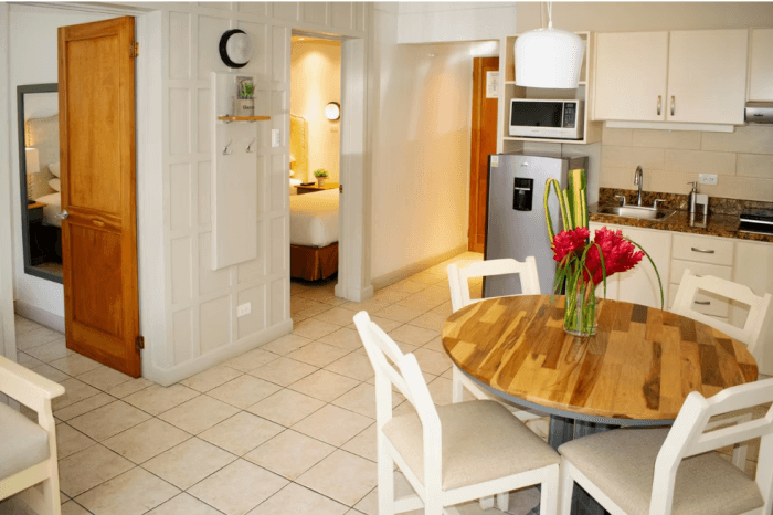 RENTA HERMOSO APARTAMENTO EN SABANA NORTE SAN JOSÉ - foto 2
